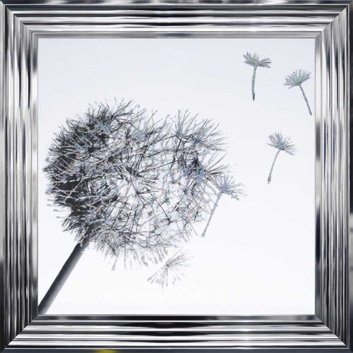 Dandelions - Blowing Right - Chrome Frame