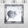 Dandelions - Blowing Right - Chrome Frame - Mounted