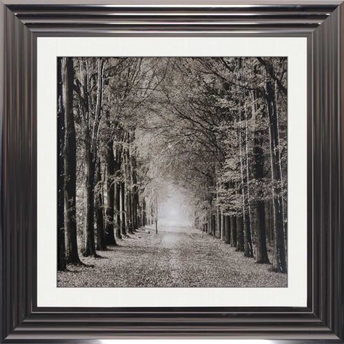 Path Ahead - Tree Walk - Metallic Frames