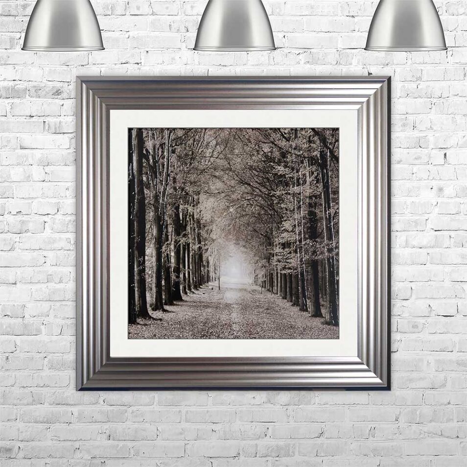 Path Ahead - Tree Walk - Silver Frames - Mounted