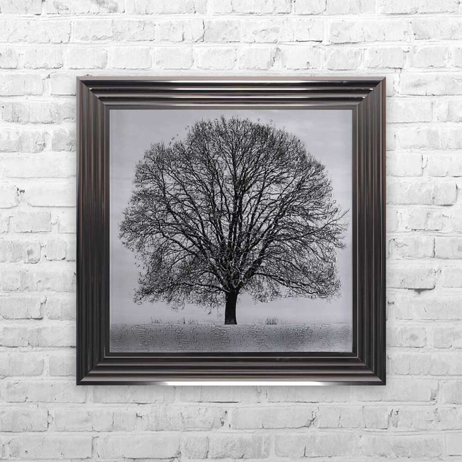 A Winter's Tree - Winter Tree - Metallic Frame - Mounted