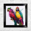 Parrots - Colourful Birds - Patrice Murciano - Black Frame - Mounted